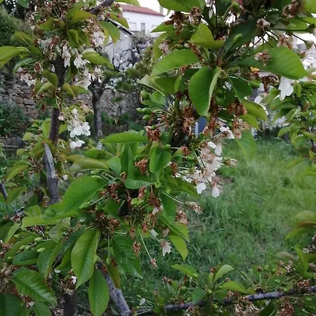 Casinha Do Barreiro - Enxabarda * Enxabarda