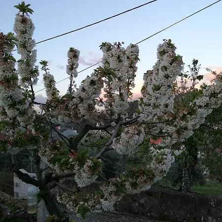 Casinha Do Barreiro - Enxabarda